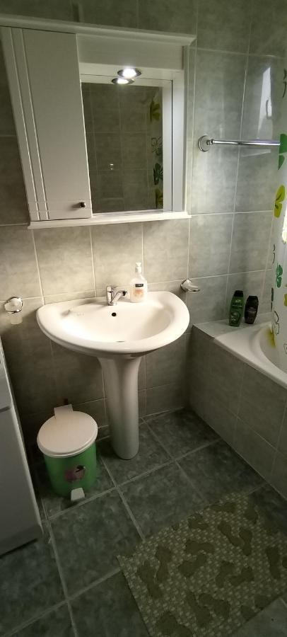 Sobe Lara Apartment Donji Milanovac Exterior photo