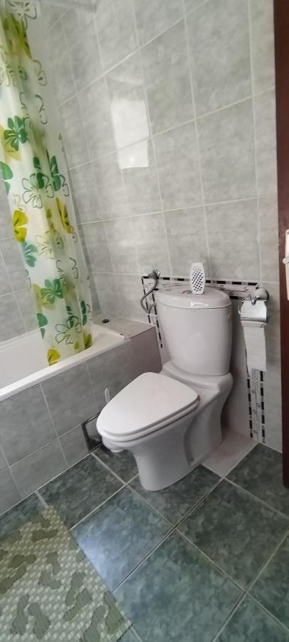 Sobe Lara Apartment Donji Milanovac Exterior photo