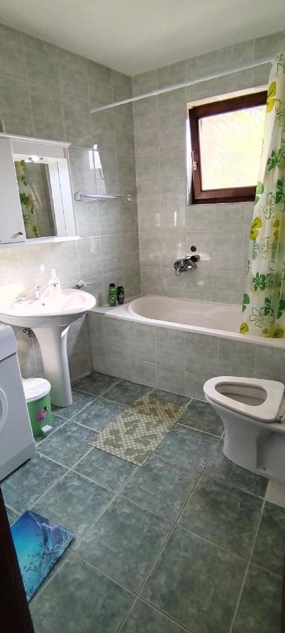 Sobe Lara Apartment Donji Milanovac Exterior photo