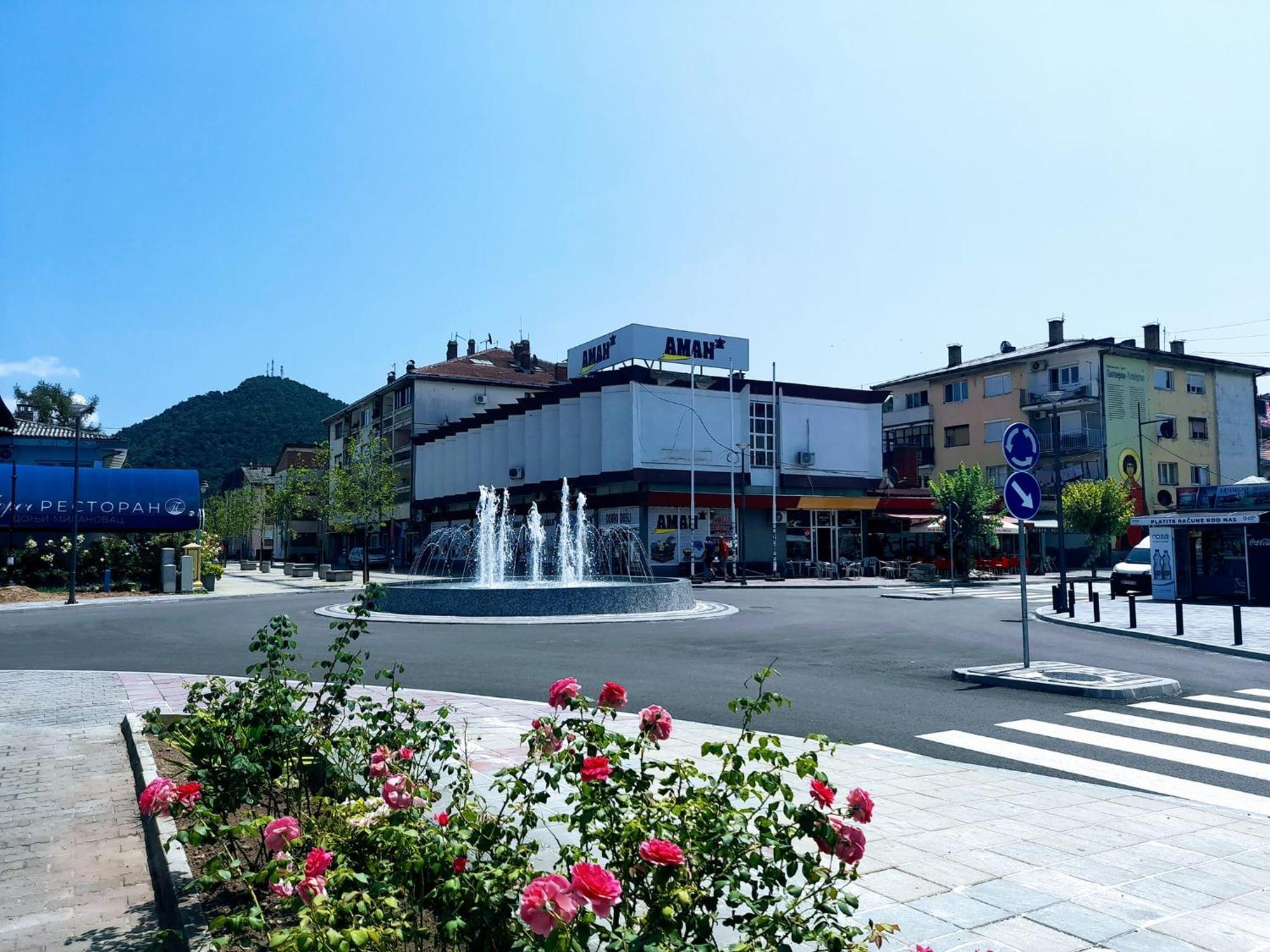 Sobe Lara Apartment Donji Milanovac Exterior photo